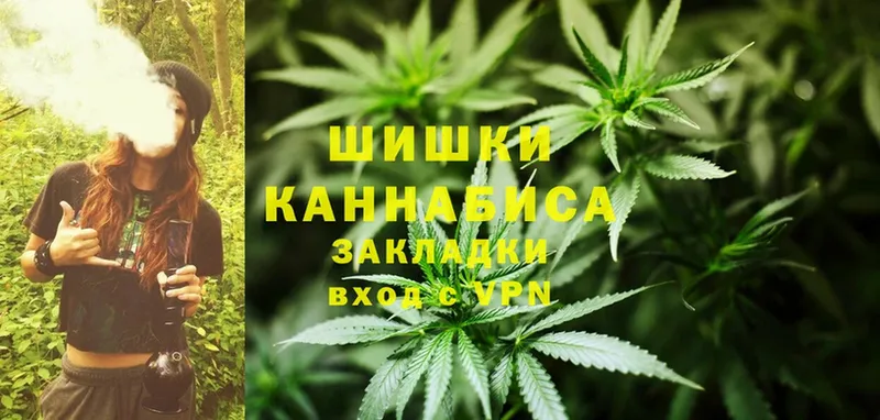 где купить наркоту  сайты даркнета телеграм  MEGA зеркало  МАРИХУАНА THC 21%  Кандалакша 